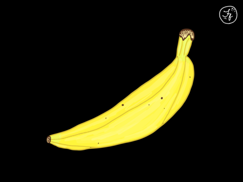 Banana illustration