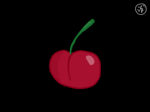 Cherry illustration