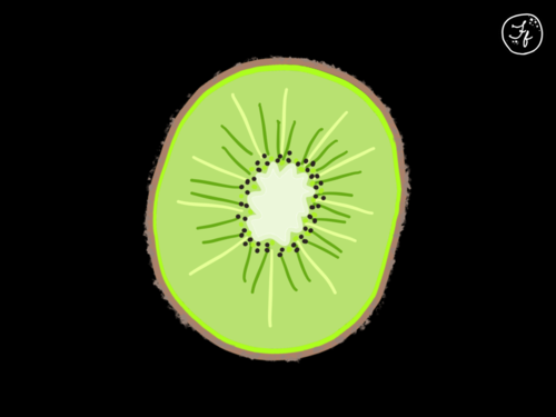 Kiwi illustration