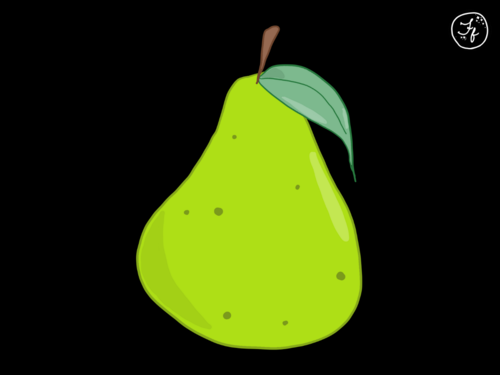 Pear illustration